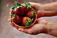 Photo of Día Internacional de la Frutilla: 12 lugares para celebrarla a puro sabor en Buenos Aires