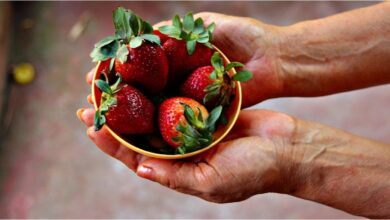 Photo of Día Internacional de la Frutilla: 12 lugares para celebrarla a puro sabor en Buenos Aires