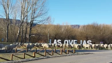 Photo of Tranquilidad, bosques hermosos y más: el pueblito de Neuquén que es de visita obligada en tu próxima escapada