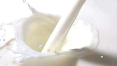 Photo of Día Mundial de la Leche: Mastellone Hnos. lanza una campaña que promueve sus beneficios nutricionales