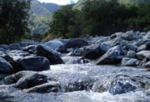 Photo of Un paraíso escondido en San Luis: el mágico destino con siete cascadas que te sorprenderá