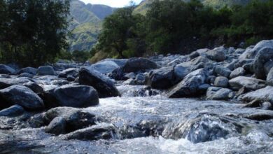 Photo of Un paraíso escondido en San Luis: el mágico destino con siete cascadas que te sorprenderá