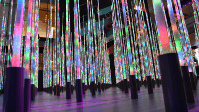 Photo of El poder transformador de la luz: iluminando un futuro sostenible y conectado