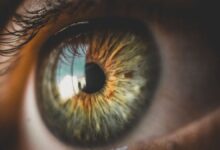 Photo of Logran detectar con Inteligencia Artificial la deficiencia atencional a partir de una foto del ojo
