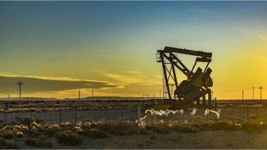 Photo of La OPEP mantuvo su calendario de producción, pese la caída en los precios del petróleo
