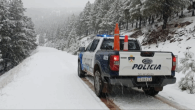 Photo of Alerta climática en Neuquén por nevadas: cortes de luz, caída de árboles y rutas cortadas