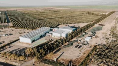 Photo of Gigante del aceite de oliva invirtió u$s11 millones para quintuplicar su capacidad productiva