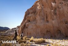 Photo of San Guillermo: el parque nacional de alta montaña que recibe 11 personas por día y es el reino de las vicuñas