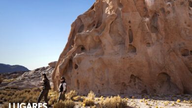 Photo of San Guillermo: el parque nacional de alta montaña que recibe 11 personas por día y es el reino de las vicuñas