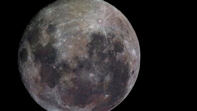 Photo of Cómo son las salidas nocturnas para aprender a fotografiar los cráteres de la Luna y los anillos de Saturno