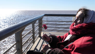 Photo of La despedida a Lita Boitano: «Vas a estar siempre por todo lo que nos dejaste»