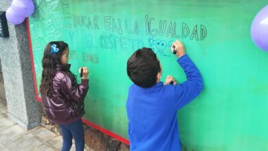 Photo of Derogar igualdad: Milei eliminó las jornadas educativas contra la violencia de género