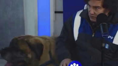 Photo of Javier Milei apareció con su perro Conan en un programa de streaming
