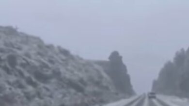 Photo of Ola polar en Buenos Aires: impresionantes imágenes de la nieve en varias localidades bonaerenses