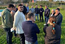 Photo of Sergio Massa se lanzará a la campaña con la mira en una candidatura