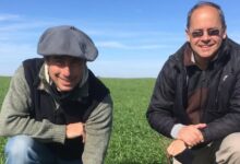Photo of “Acá se hacen bien las cosas”: son hermanos, transformaron un campo y venden créditos de soja