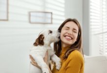 Photo of ¿Qué dice la psicología de las personas que aman a los perros?