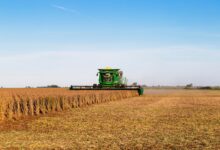 Photo of Inversión de US$6 millones: una de las mayores cooperativas agrícolas del país inaugurará una planta de insumos biológicos