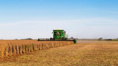 Photo of Inversión de US$6 millones: una de las mayores cooperativas agrícolas del país inaugurará una planta de insumos biológicos