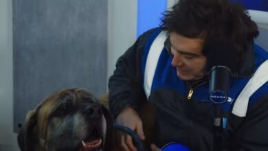 Photo of Milei llevó a su perro Conan a un programa de streaming
