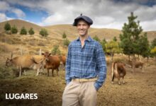 Photo of El agrónomo detrás de un emprendimiento de quesos artesanales premium en Neuquén