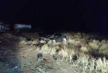 Photo of Río Negro: fuerte choque frontal entre una camioneta y un camión con semirremolque