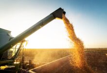 Photo of Contraste: bajaron los precios de los agroquímicos y subieron en fertilizantes
