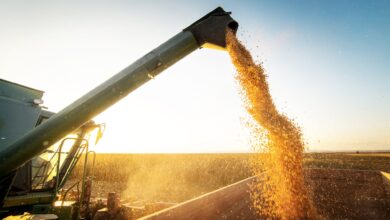 Photo of Contraste: bajaron los precios de los agroquímicos y subieron en fertilizantes