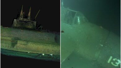 Photo of Buceaban en las costas de San Diego y de casualidad hallaron un avión y un submarino hundidos en 1917