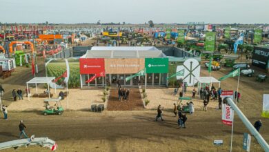 Photo of Agroactiva histórica: el Banco Santa Fe y el Banco Entre Ríos batieron todos los récords de solicitudes de créditos con más de $640 mil millones