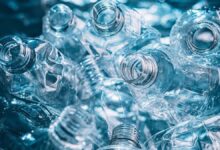Photo of ¡No tires las botellas de plástico! Pueden ser tus mejores aliadas en la jardinería