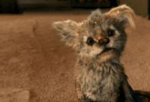 Photo of La película de Netflix ideal para ver en familia: una criatura llena de ternura y una aventura emocionante
