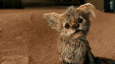 Photo of La película de Netflix ideal para ver en familia: una criatura llena de ternura y una aventura emocionante