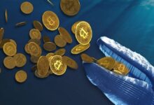 Photo of Una criptomoneda batió un nuevo récord y ya alcanzó 2.700 ballenas