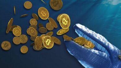 Photo of Una criptomoneda batió un nuevo récord y ya alcanzó 2.700 ballenas