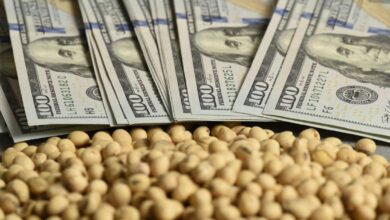 Photo of El dólar en julio: cómo lo puede afectar el regreso de las retenciones plenas a soja y maíz