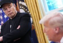 Photo of Elon Musk borró el polémico tuit en el que acusó a Donald Trump de estar en el expediente de Jeffrey Epstein