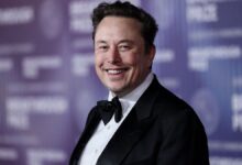 Photo of Elon Musk denunció una supuesta red mundial de corrupción estatal: «Es la mayor estafa de la historia»