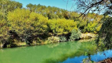 Photo of El pueblo escondido del sur de Argentina que enamoró a Lady Di con su cultura y paisajes