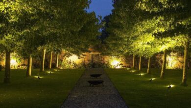 Photo of Así podés iluminar tu jardín de noche con energía solar y ahorrar en tu factura de luz