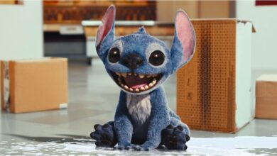 Photo of Disney se inspiró en este pequeño animal real para diseñar a Stitch