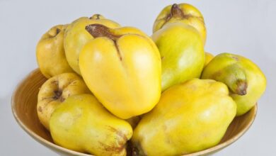 Photo of Esta fruta se utiliza en varios postres y dulces argentinos y puede combatir la acidez