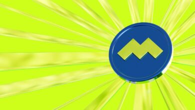 Photo of Meta Pool Celebra su 4º aniversario con una propuesta para aumentar el poder de voto hasta 24x