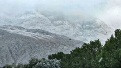 Photo of Nieve en Buenos Aires: reportan que ya llegó a Púan y el sudoeste bonaerense por ola de frío polar