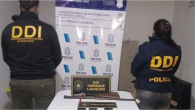 Photo of Rescataron a 10 menores víctimas de pedofilia en Buenos Aires y detuvieron a 16 personas