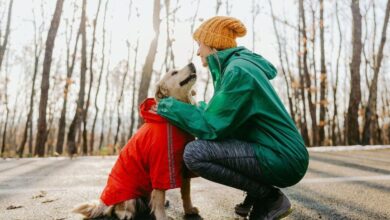 Photo of ¿Cuáles son los errores más comunes a la hora de cuidar a nuestras mascotas? Una experta reveló la verdad