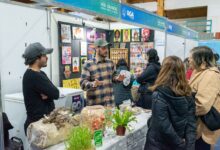 Photo of La Expo “Emprender desde el Sur” mostró el potencial productivo de la patagonia austral