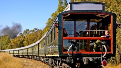 Photo of El tren de lujo que recorre África: el increíble safari desde una suite