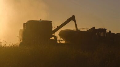 Photo of Boom de ventas y dólares récord: el campo se anticipa al regreso de las retenciones