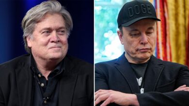 Photo of Steve Bannon le pidió a Donald Trump que deporte a Elon Musk y «tome el control de SpaceX»
